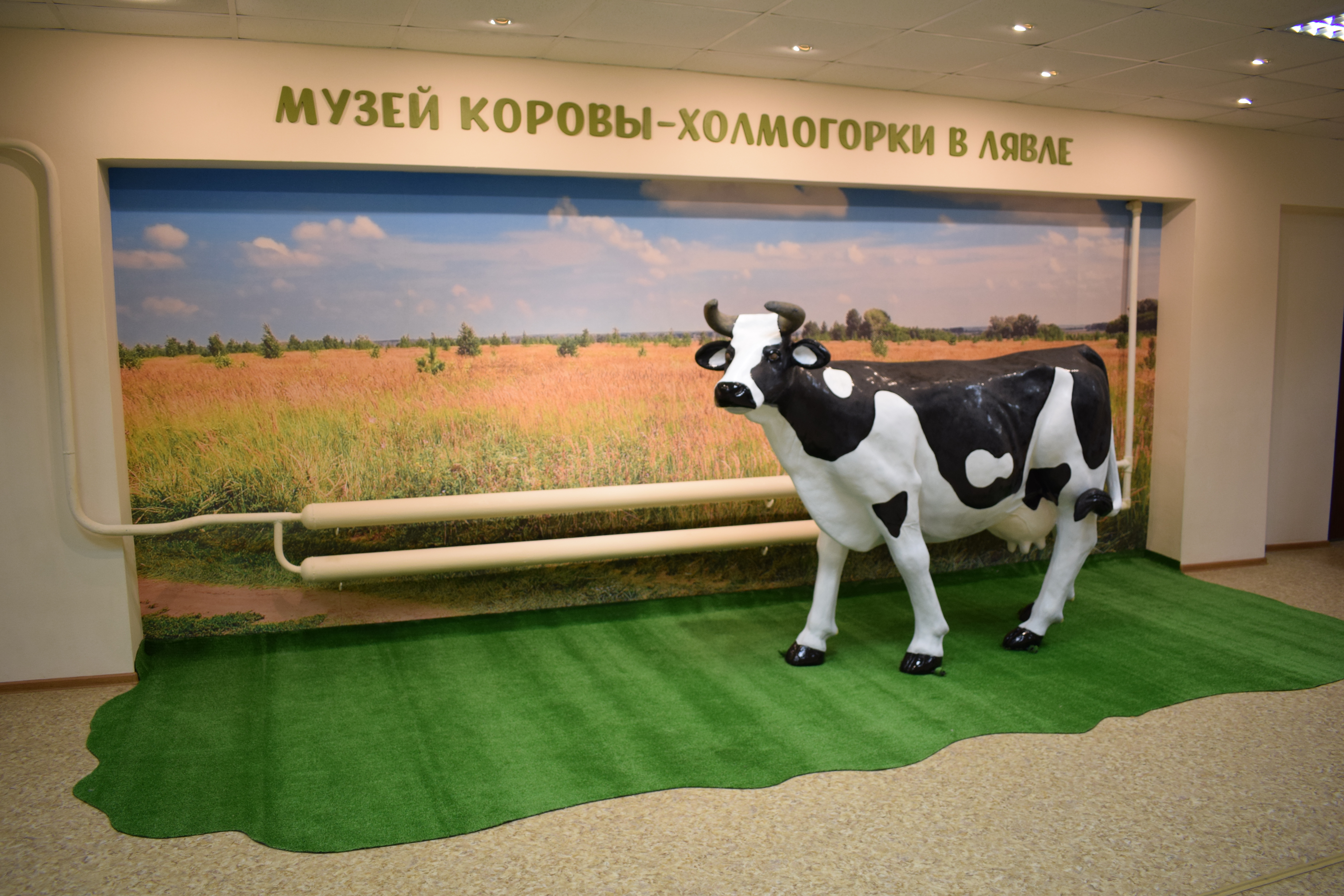 холмогоры музей